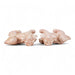 Danny's Fine Porcelain Home Decor Danny's Fine Porcelain Foo Dog Lion Pink