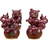 Danny's Fine Porcelain Home Decor Danny's Fine Porcelain Foo Dogs 50557