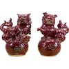 Danny's Fine Porcelain Home Decor Danny's Fine Porcelain Foo Dogs 50557