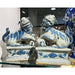 Danny's Fine Porcelain Home Decor Danny's Fine Porcelain Foo Dogs Pair 50618