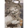 Danny's Fine Porcelain Home Decor Danny's Fine Porcelain Foo Dogs (Pr) - old celadon KS1008