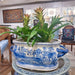 Danny's Fine Porcelain Home Decor Danny's Fine Porcelain Footbath 50969