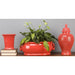 Danny's Fine Porcelain Home Decor Danny's Fine Porcelain Footbath - Coral 40711