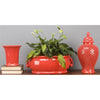 Danny's Fine Porcelain Home Decor Danny's Fine Porcelain Footbath - Coral 40711