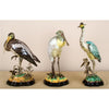 Danny's Fine Porcelain Home Decor Danny's Fine Porcelain Heron W/ Bronze 60138