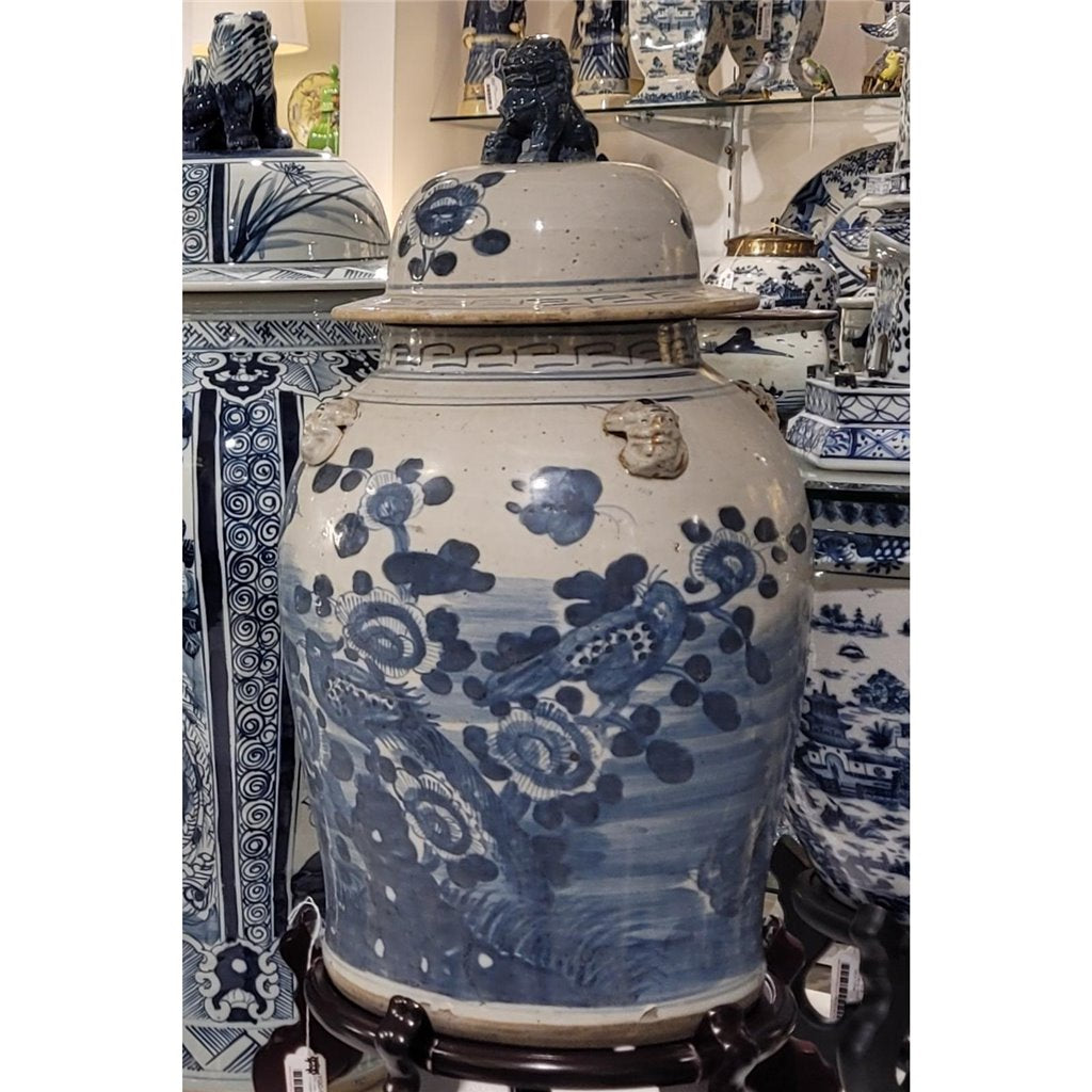Danny's Fine Porcelain Home Decor Danny's Fine Porcelain Jar 50519