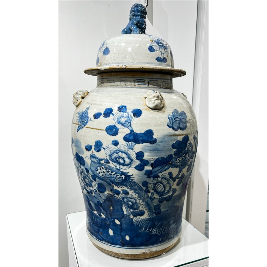 Danny's Fine Porcelain Home Decor Danny's Fine Porcelain Jar 50519