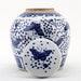 Danny's Fine Porcelain Home Decor Danny's Fine Porcelain Large Bulb Jar - Butterflies