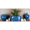 Danny's Fine Porcelain Home Decor Danny's Fine Porcelain Leaf Footbath- Cobalt (16.5 X 8 Opening) 11940
