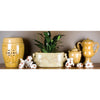 Danny's Fine Porcelain Home Decor Danny's Fine Porcelain Leaf Footbath- Wasabi (16.5 X 8 Opening) 11938