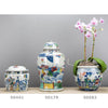 Danny's Fine Porcelain Home Decor Danny's Fine Porcelain Lidded Box -Beauties 50441