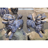 Danny's Fine Porcelain Home Decor Danny's Fine Porcelain Lion -Smaller-Pair 50826