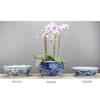 Danny's Fine Porcelain Home Decor Danny's Fine Porcelain Lotus Lip Round Basin- Classic Blue And White 50362