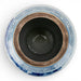 Danny's Fine Porcelain Home Decor Danny's Fine Porcelain Melon Jar- Blue and White Children