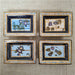 Danny's Fine Porcelain Home Decor Danny's Fine Porcelain Natural History Wall Art Setset of Four Framed Natural-history - CLOSEOUT SAMPLE SALE