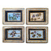 Danny's Fine Porcelain Home Decor Danny's Fine Porcelain Natural History Wall Art Setset of Four Framed Natural-history - CLOSEOUT SAMPLE SALE