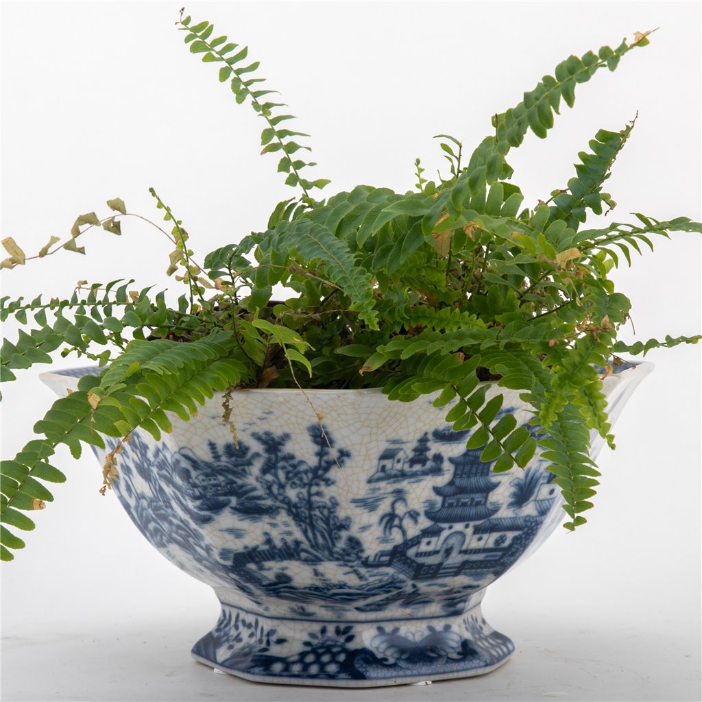 Danny's Fine Porcelain Home Decor Danny's Fine Porcelain Octagonal Basin-Blue Willow 14264
