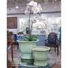 Danny's Fine Porcelain Home Decor Danny's Fine Porcelain Octagonal Footed Planter - Light Green (large)