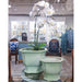 Danny's Fine Porcelain Home Decor Danny's Fine Porcelain Octagonal Footed Planter - Light Green (large)