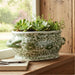 Danny's Fine Porcelain Home Decor Danny's Fine Porcelain Oval Footbath-Green Peony