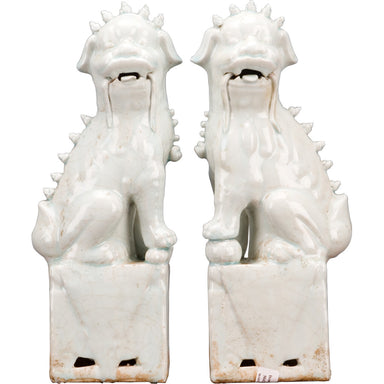 Danny's Fine Porcelain Home Decor Danny's Fine Porcelain Pair Foo Dog - Old Celadon 50429