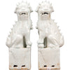 Danny's Fine Porcelain Home Decor Danny's Fine Porcelain Pair Foo Dog - Old Celadon 50429