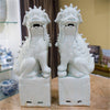Danny's Fine Porcelain Home Decor Danny's Fine Porcelain Pair Foo Dog - Old Celadon 50429