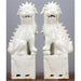 Danny's Fine Porcelain Home Decor Danny's Fine Porcelain Pair Foo Dog - Old Celadon 50429