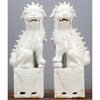 Danny's Fine Porcelain Home Decor Danny's Fine Porcelain Pair Foo Dog - Old Celadon 50429