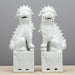 Danny's Fine Porcelain Home Decor Danny's Fine Porcelain Pair Foo Dog - Old Celadon 50429