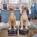 Danny's Fine Porcelain Home Decor Danny's Fine Porcelain Pair Whippet