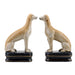 Danny's Fine Porcelain Home Decor Danny's Fine Porcelain Pair Whippet