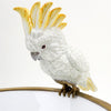 Danny's Fine Porcelain Home Decor Danny's Fine Porcelain Parrot And Bowl With Bronze Ormolu 60382