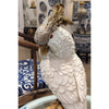 Danny's Fine Porcelain Home Decor Danny's Fine Porcelain Parrot Figure With Bronze Base 60361