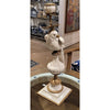 Danny's Fine Porcelain Home Decor Danny's Fine Porcelain Parrot With Bronze- White Crackle 14131
