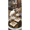 Danny's Fine Porcelain Home Decor Danny's Fine Porcelain Parrot With Bronze- White Crackle 14131