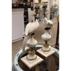 Danny's Fine Porcelain Home Decor Danny's Fine Porcelain Parrot With Bronze- White Crackle 14131