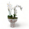 Danny's Fine Porcelain Home Decor Danny's Fine Porcelain Porcelain Aged Rust Phoenix Round Tall Basin 51102