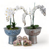 Danny's Fine Porcelain Home Decor Danny's Fine Porcelain Porcelain Aged Rust Phoenix Round Tall Basin 51102