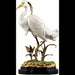 Danny's Fine Porcelain Home Decor Danny's Fine Porcelain Porcelain Egret With Bronze 60182