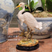Danny's Fine Porcelain Home Decor Danny's Fine Porcelain Porcelain Egret With Bronze 60182