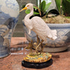 Danny's Fine Porcelain Home Decor Danny's Fine Porcelain Porcelain Egret With Bronze 60182