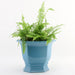 Danny's Fine Porcelain Home Decor Danny's Fine Porcelain Porcelain Octagonal Footed Planter - Sky Blue (small)