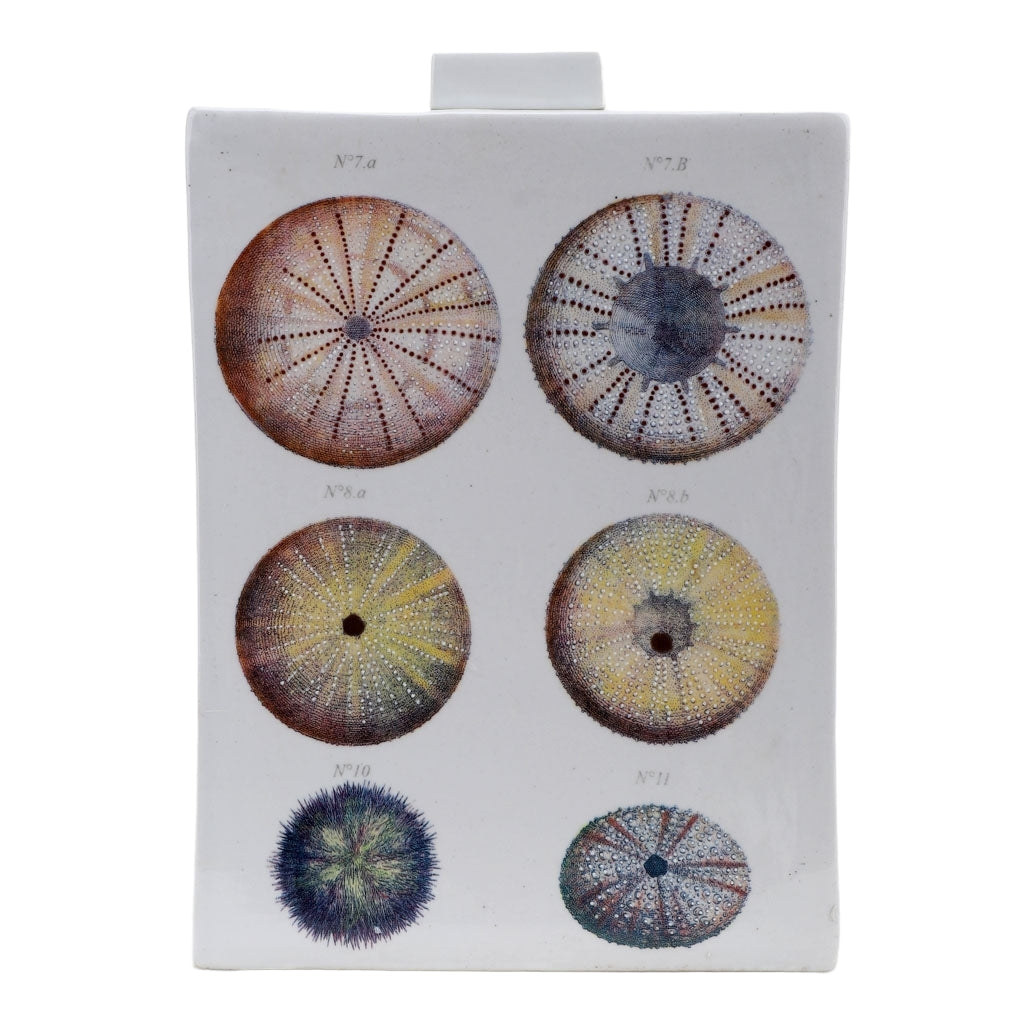 Danny's Fine Porcelain Home Decor Danny's Fine Porcelain Porcelain Rectangular Jar - [Limited Edition] 60573