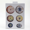 Danny's Fine Porcelain Home Decor Danny's Fine Porcelain Porcelain Rectangular Jar - [Limited Edition] 60573