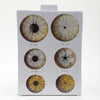 Danny's Fine Porcelain Home Decor Danny's Fine Porcelain Porcelain Rectangular Jar - [Limited Edition] 60573