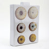 Danny's Fine Porcelain Home Decor Danny's Fine Porcelain Porcelain Rectangular Jar - [Limited Edition] 60573