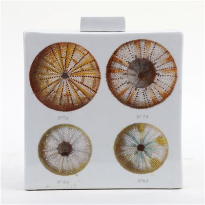Danny's Fine Porcelain Home Decor Danny's Fine Porcelain Porcelain Rectangular Jar - Shells One [limited Edition] - CLOSEOUT SAMPLE SALE