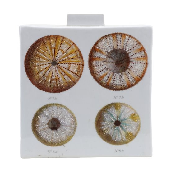 Danny's Fine Porcelain Home Decor Danny's Fine Porcelain Porcelain Rectangular Jar - Shells One [limited Edition] - CLOSEOUT SAMPLE SALE