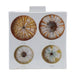 Danny's Fine Porcelain Home Decor Danny's Fine Porcelain Porcelain Rectangular Jar - Shells One [limited Edition] - CLOSEOUT SAMPLE SALE